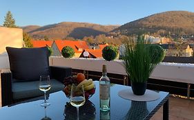 Bergliebe 6 mit großer Terrasse, Tiefgarage&Lift